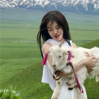 女作家与谋杀案第十季